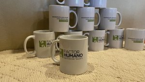 taza