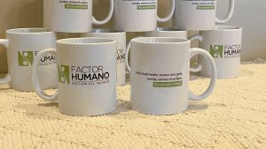 taza