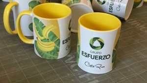 taza