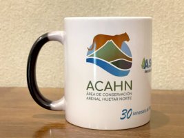 taza