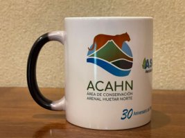 taza