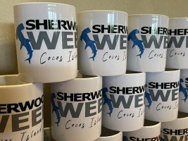 taza