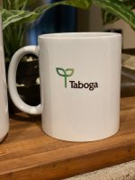 taza