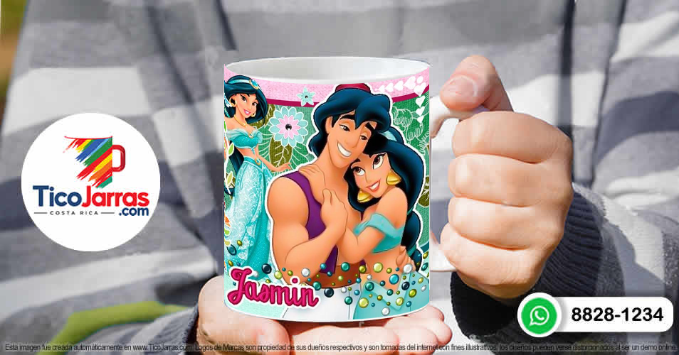 Princesa Jazmín - TicoJarras