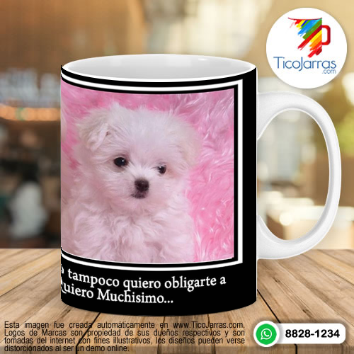 Tazas Personalizadas en Costa Rica No quiero perder tu amistad