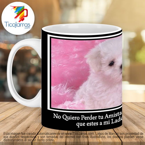 Jarras Personalizadas No quiero perder tu amistad