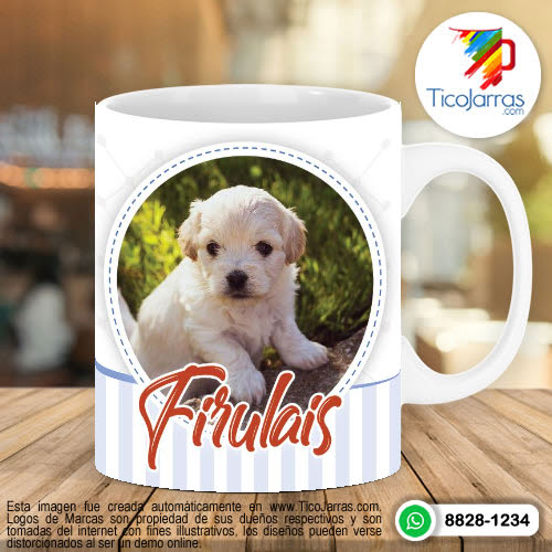 Tazas Personalizadas en Costa Rica Diseño de Mascota