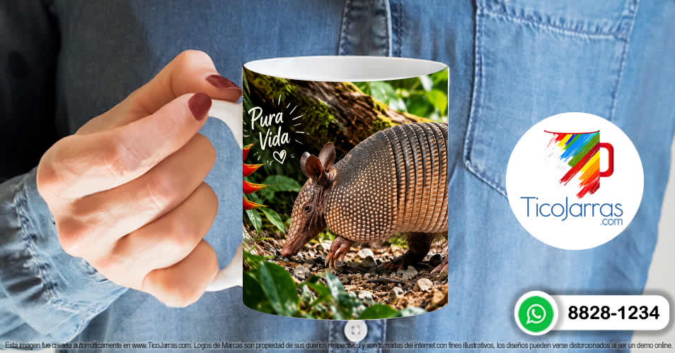 Armadillo - imagen 6