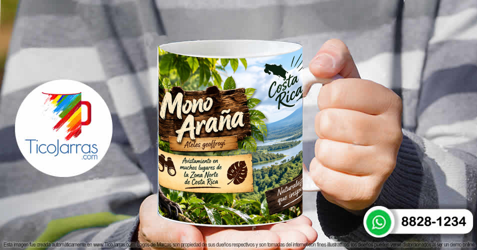 Mono Araña - imagen 4
