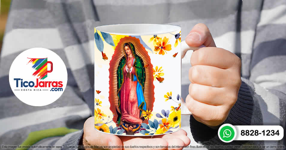 Virgen de Guadalupe - TicoJarras