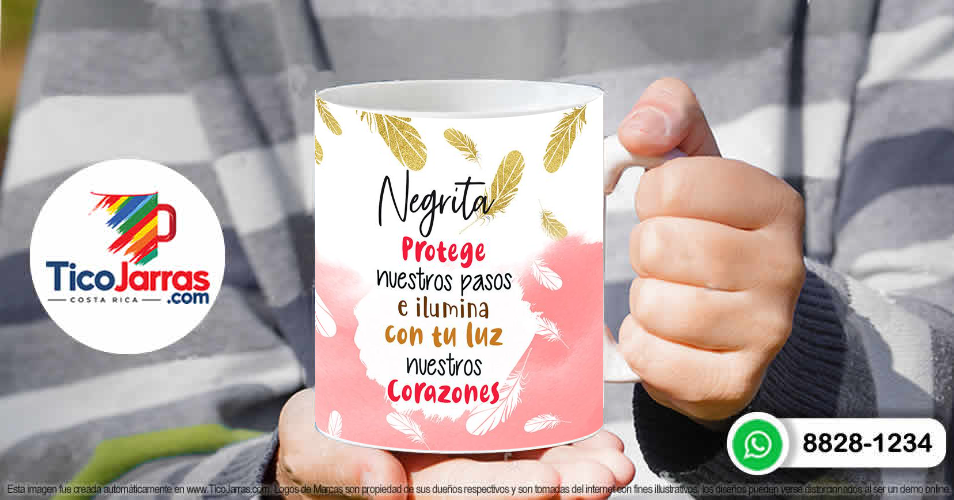 Virgen de los Ángeles - TicoJarras