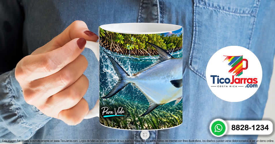 Topwater Permit - imagen 6