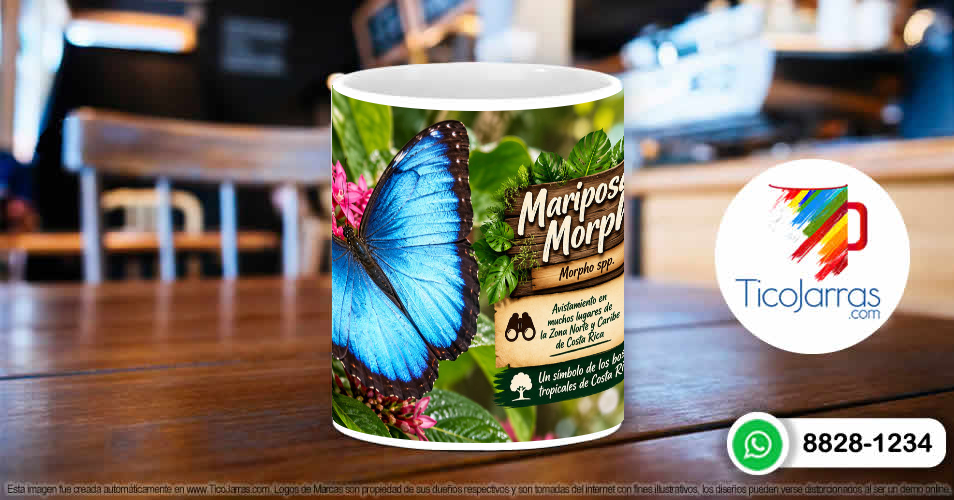 Mariposa Morpho - TicoJarras