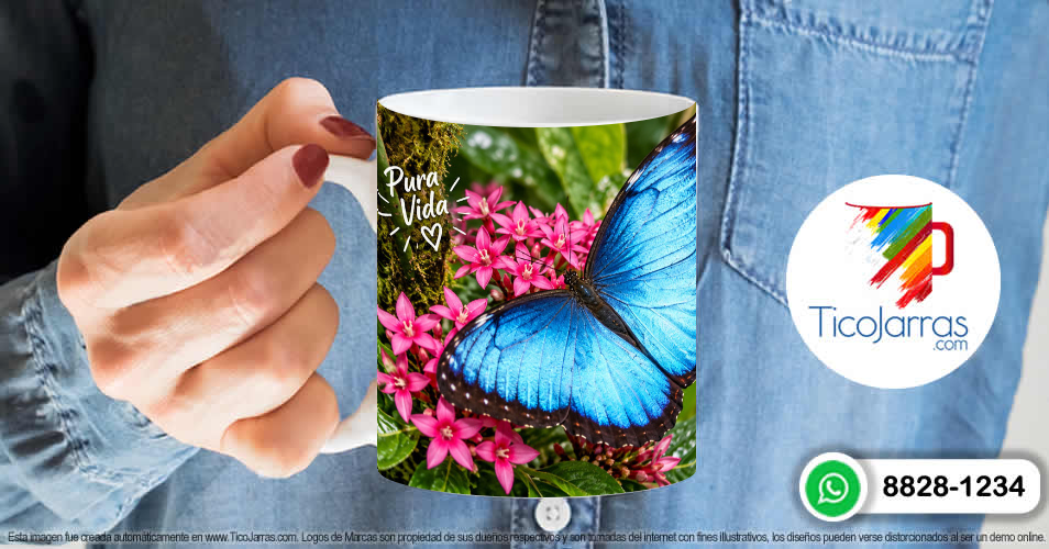 Mariposa Morpho - imagen 6