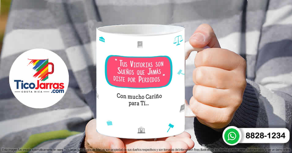 Profesión, La Mejor Abogada del Mundo - imagen 4