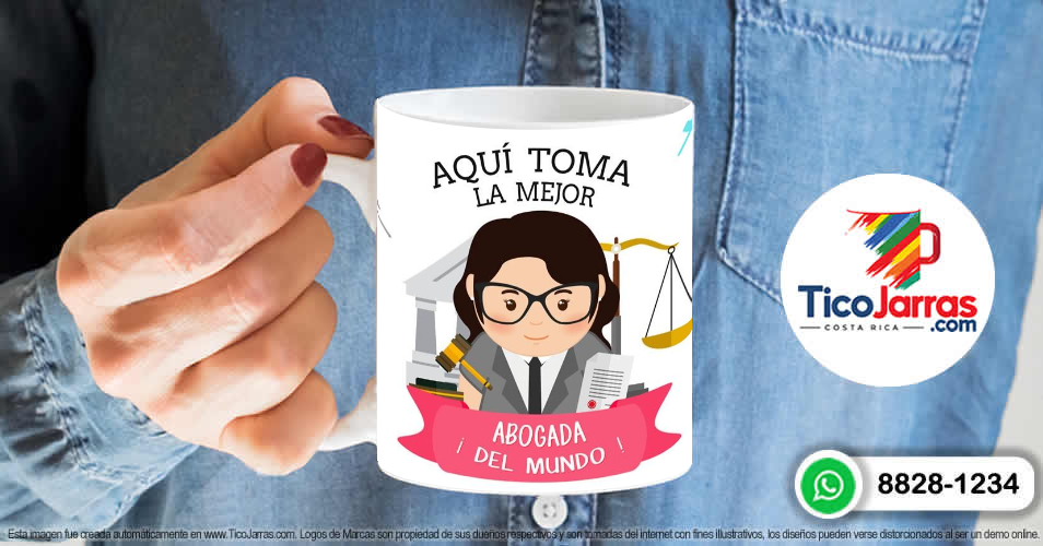 Profesión, La Mejor Abogada del Mundo - imagen 6