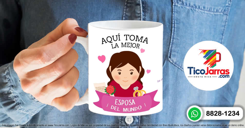 La Mejor Esposa del Mundo - TicoJarras