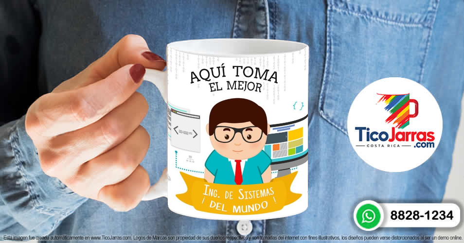Profesión, El Mejor Ingeniero de Sistemas - TicoJarras