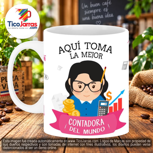 Profesión, La Mejor Contadora - TicoJarras