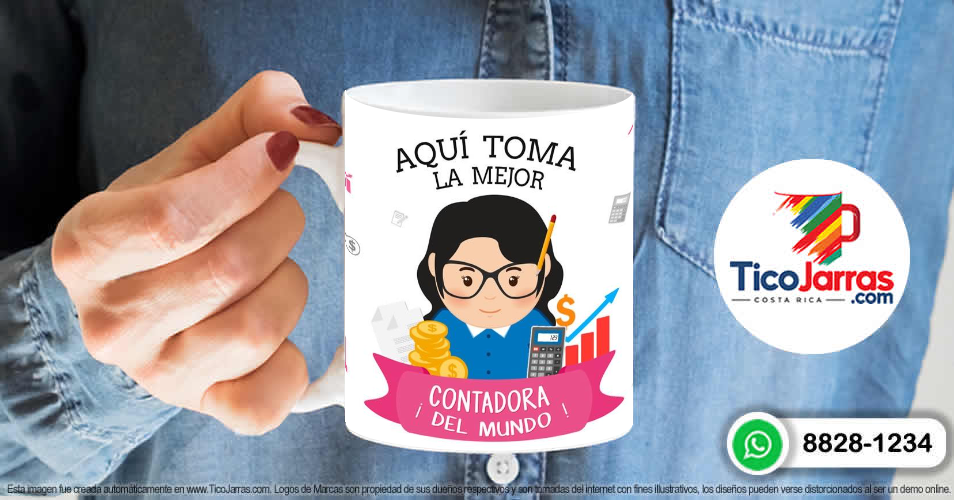 Profesión, La Mejor Contadora - imagen 6