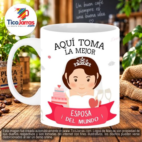 La Mejor Esposa del Mundo - TicoJarras