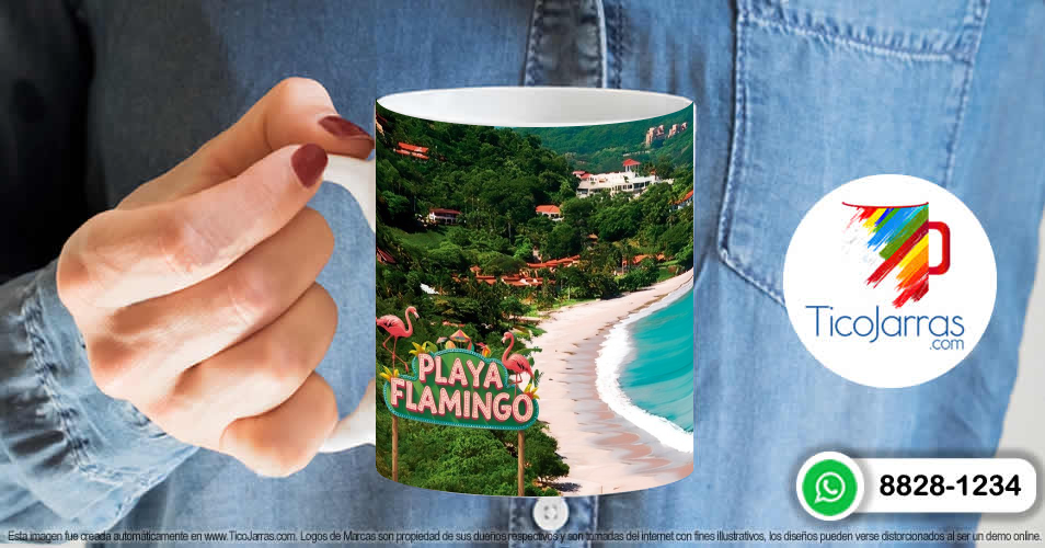 Costa Rica Playa Flamingo - imagen 6