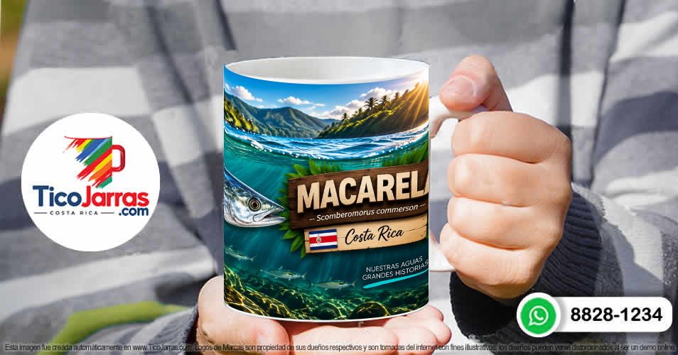 Macarela - TicoJarras