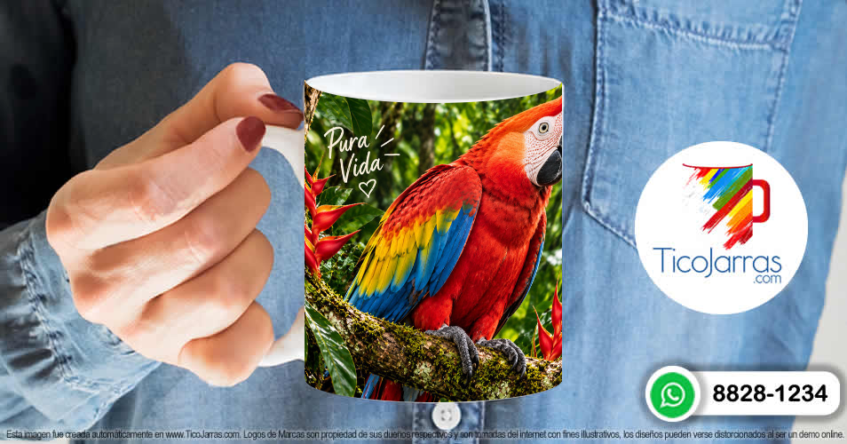 Guacamayo - imagen 6