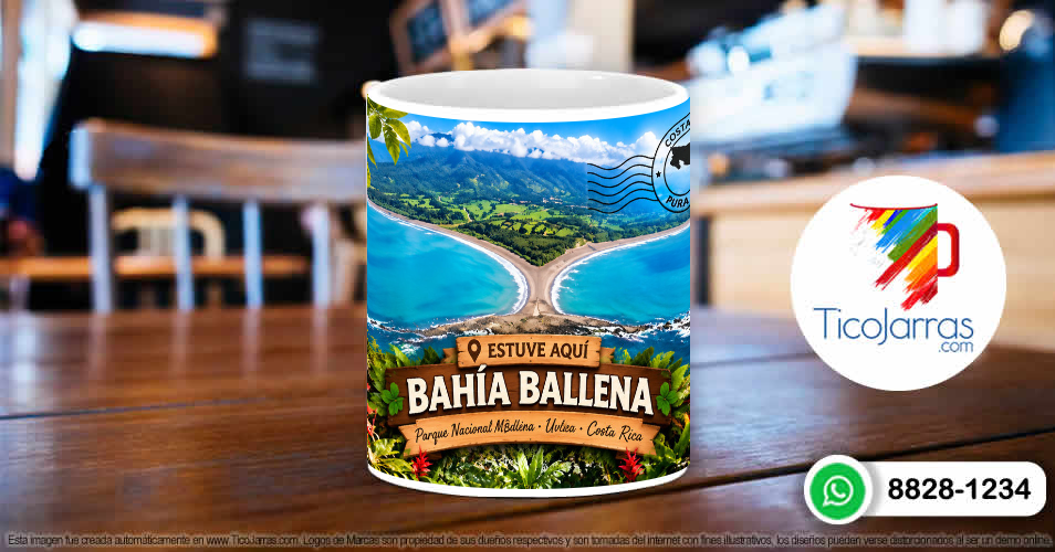 Bahía Ballena - TicoJarras