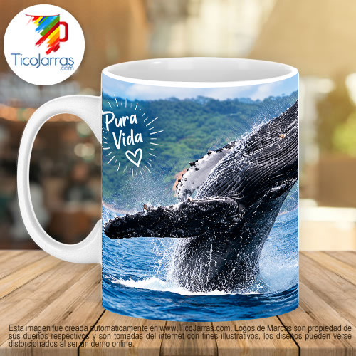 Ballena Jorobada - imagen 3