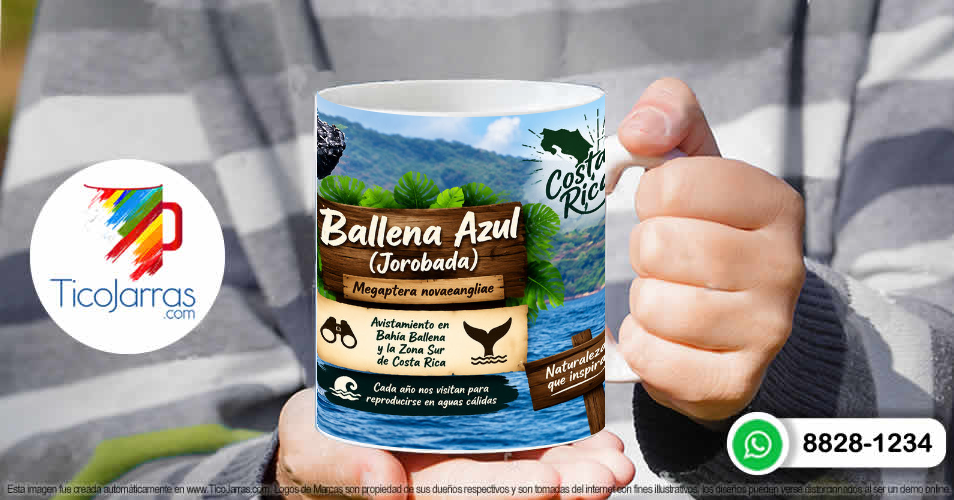 Ballena Jorobada - imagen 4