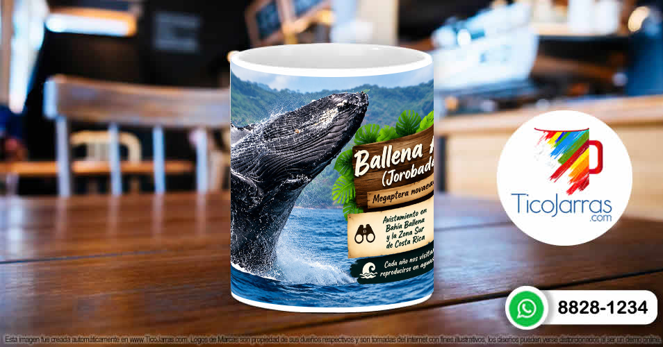 Ballena Jorobada - TicoJarras