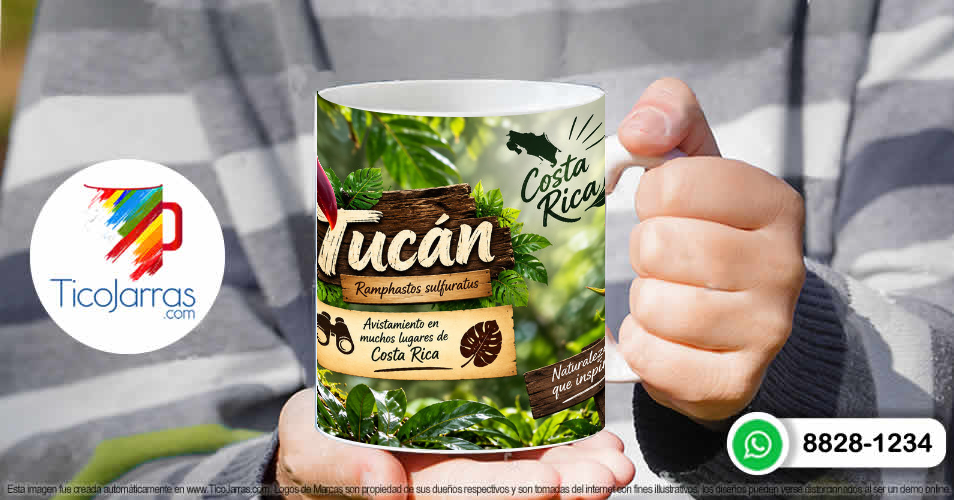 Tucán Arcoíris  - imagen 4