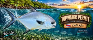 Topwater Permit