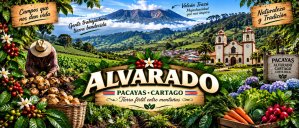Alvarado, Cartago