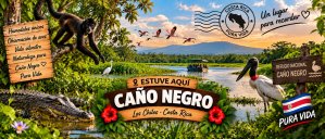 Caño Negro