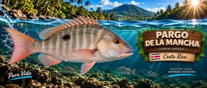 Pargo de la Mancha