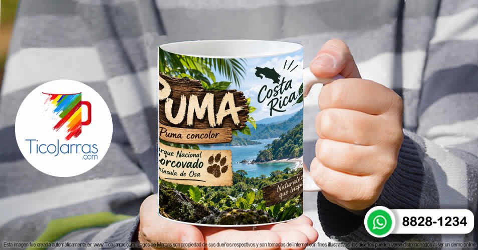 Puma - imagen 4