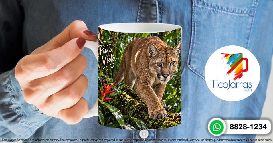 Puma - imagen 6