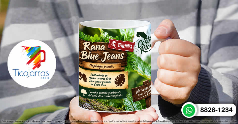 Rana Blue Jeans - imagen 4