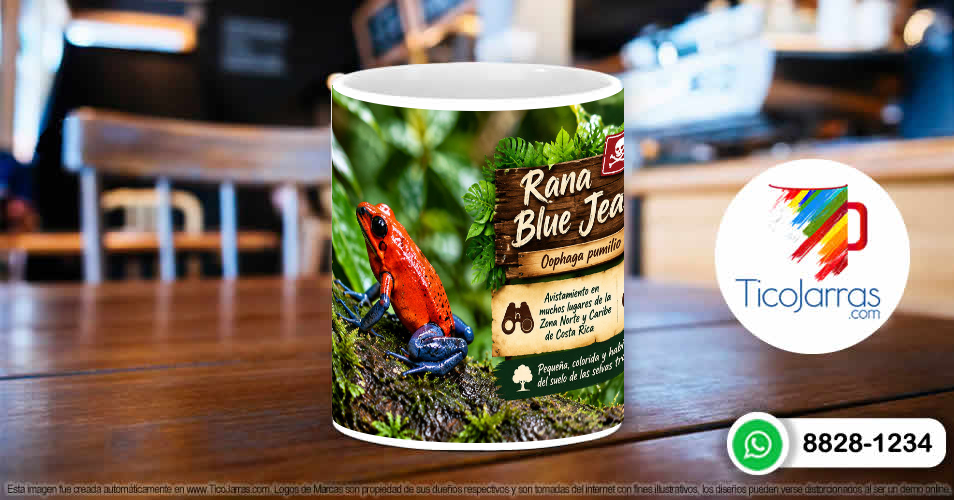 Rana Blue Jeans - imagen 5